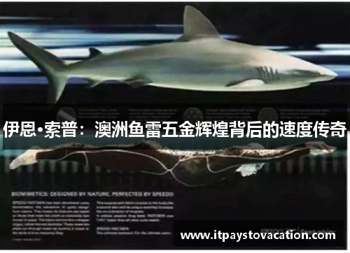 伊恩·索普：澳洲鱼雷五金辉煌背后的速度传奇